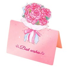 Maket Gamseong 立體花束迷你卡片, 康乃馨 祝福, 100個