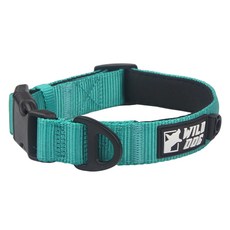 WILD DOG 狗狗基本款頸圈, 藍綠色