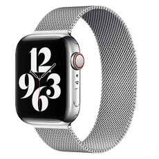 아이코어스 애플워치 호환 밀레니즈 루프 마그네틱 스트랩, 실버, 1개