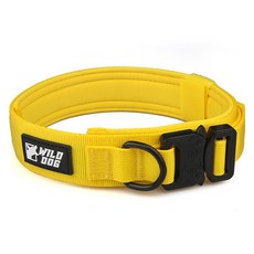 WILD DOG 狗狗金屬項圈頸圈, 1個, 黃色