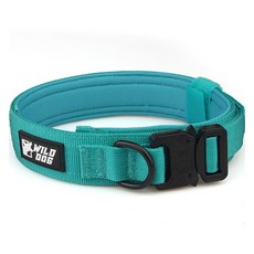 WILD DOG 狗狗金屬項圈頸圈, 1個, 藍綠色