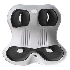 이지앤프리 필라체어 자세 교정 의자 일체형, 이지 블랙, 1개