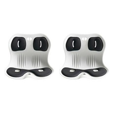 이지앤프리 등받이 자세 필라체어 분리형 2p, 이지 블랙