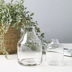 Marsh Marigold 室內裝飾品 透明玻璃花瓶, 透明