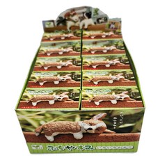 Taikon午後慵懶小狗盒玩隨機5款 10入組, 1組