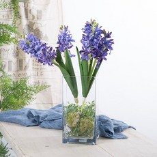 마쉬매리골드 인테리어 소품 지름 12 사각 유리화병, 투명