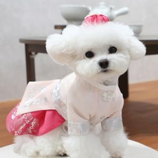ITS DOG 寵物 Eunnarae Baessi Daenggi, 1個, 混色