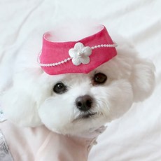 ITS DOG 寵物銀翼Ayam頭飾, 1個, 混合顏色