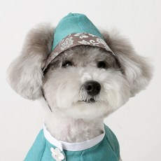 ITS DOG 寵物 Eunnarae 銀箔 Bokgeon, 1個, 混色