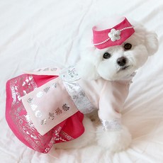 ITS DOG 寵物銀翼公主韓服, 1個, 混合色