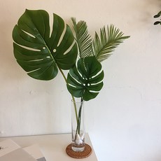 Dodo Beni龜背芋 S+L+鐵絲枝條 2入組, 單色, 1組