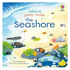 Peep Inside the Seashore, Usborne Publishing Ltd