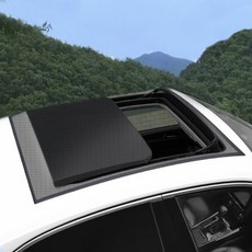 카에버 썬루프 모기장 햇빛가리개 차량방충망, 블랙