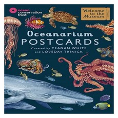 Welcome To The Museum : Oceanarium Postcards, Big Picture Press