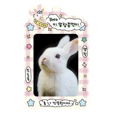 manet 小卡套 + 鑰匙圈套組, 紫色 + 白色(糯米糰子), 1張