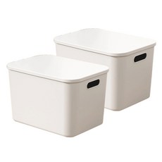廚房食品儲藏室多用途收納箱 B型 25L, 2個, 白色