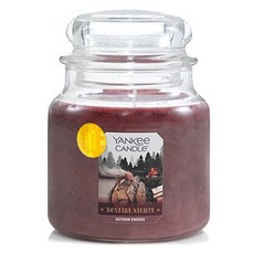 YANKee CANDLe 蠟燭 M, 1個, 411g, 秋日琥珀
