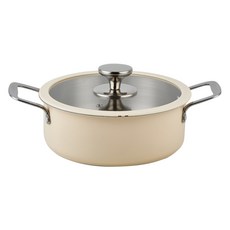 VISKA IH爐適用附蓋不鏽鋼雙耳湯鍋, 象牙白, 1組, 22cm