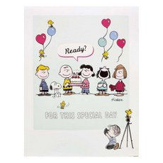 Hallmark 史努比立體生日祝賀卡片組, 830151, 1套