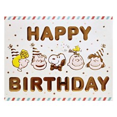 Hallmark 史努比立體生日祝賀卡片組, 830168, 1套