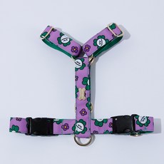 Noradog 狗狗 Mister Clover H型胸背帶, 綠色, 1個