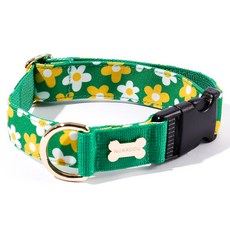 노라독 피크닉 목줄 와이드 대형견용, 그린, 1개