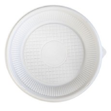 Draw Life May Green衛生餐盤 200mm, 10入, 10個