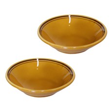 Kanesuzu Daily陶瓷圓盤 1號, 2個, 駱駝