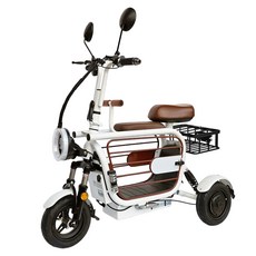 이디뚜뚜 삼륜 스틸 전기 스쿠터 48V 15A 107 x 107 cm, 화이트, 1개
