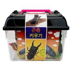 아마존 곤충키우기 세트 사슴벌레, 혼합색상, 1세트