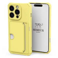 스메르 루미넌트 카드 2장수납 컬러 휴대폰 케이스