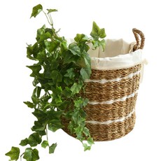 포홈 씨그라스 라탄 화이트라인 수납, 1개