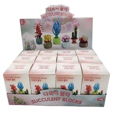 Taikon 多肉植物積木玩具 隨機出貨, 12個