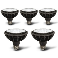 JangsuLamp LED PAR30聚光燈黑體15W, 5個, 日光色