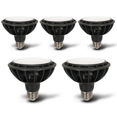 JangsuLamp LED PAR30漫射燈黑體15W, 日光色