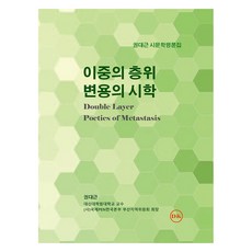 雙重層次 變容的詩學, DK出版社, 權大根