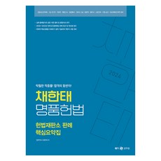 Megagong 2024 蔡韓泰 名品憲法 憲法法院判例 核心摘要集, Next Study