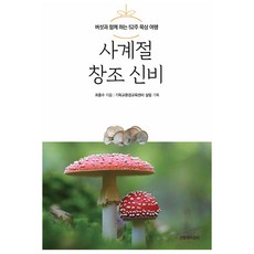 사계절 창조 신비, 신앙과지성사, 최종수