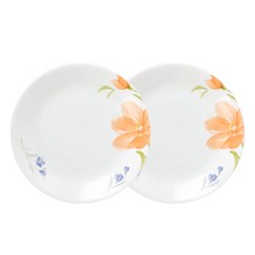 코렐 베고니아 원형접시 중, 2개, 단품, 혼합색상