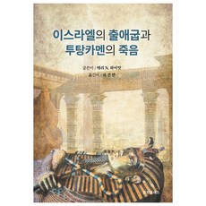 이스라엘의 출애굽과 투탕카멘의 죽음, 메리 넬 와이엇, 준프로세스