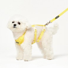 PROJECT 21 狗狗胸背帶+牽繩組, 檸檬黃, 1組