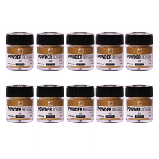 신한화구 전문가 메탈릭 파우더 리치 골드 10p, 30ml, 1색