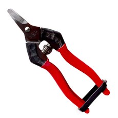 SINSEUNG TOOLS 彎型疏果剪 SB-307, 1個