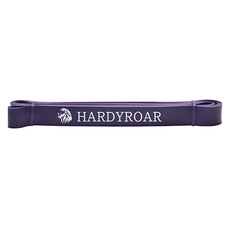 HARDYROAR 乳膠輔助帶 健身配件, 紫色 / 進階者, 1個