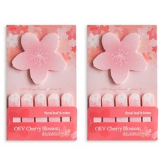 Rangcat Mall Odong et Valérie 黏貼式櫻花便利貼 大型與索引 2入組, 混合顏色, 1套