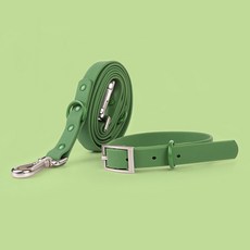 애구애구 강아지 워터프루프 아쿠아 목줄 + 리드줄 세트, 그린, 1세트