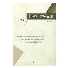 한국의 분단소설, 청운, 김명준
