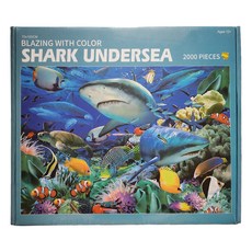 J&K 專注力提升 兩千片拼圖, 產品22, 2000件, 1個