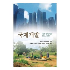 myunginbooks 國際開發 ： 社會經濟理論 遺產 戰略, Lanoszka, Anna