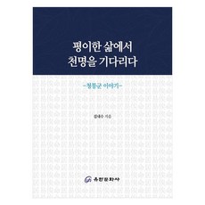 在平凡的生命中等待天命： 青陵君的故事, 柳韓文化社, 金內洙